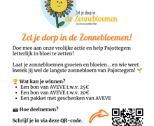 zonnebloemen 