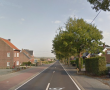 bomen