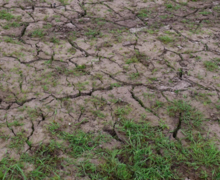 droogte