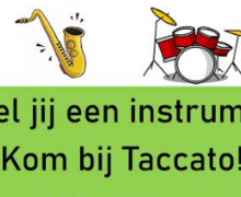 ninove