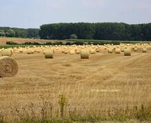 natuur in Vollezele
