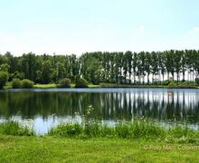 De Gavers