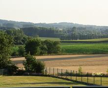 Natuur