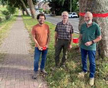 Alwin Loeckx Lode Dehantschutter en Luc Luyckx van Groen Pajottegem bij de bedreigde bomen