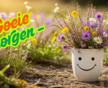 Foto Natuurpunt