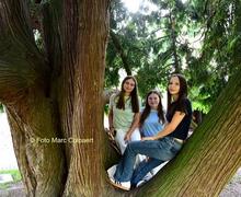 Laura Ruth en Nina ontdekten de tuin van het Baljuwhuis.- Foto Marc Colpaert