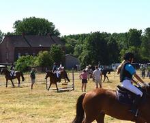 Dit weekend paardensport in Tollembeek.- Foto Marc Colpaert
