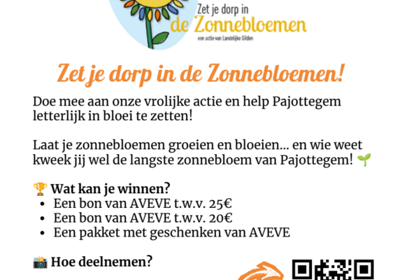 zonnebloemen 