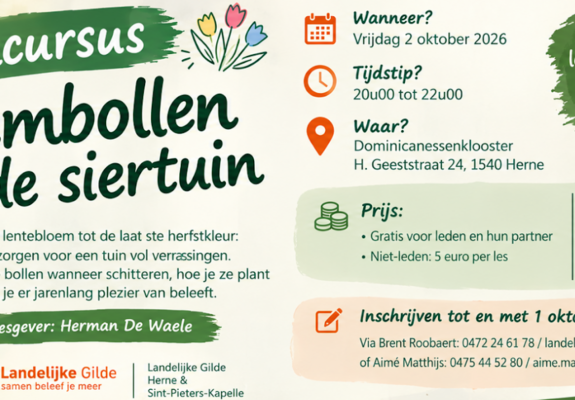 bloembollen