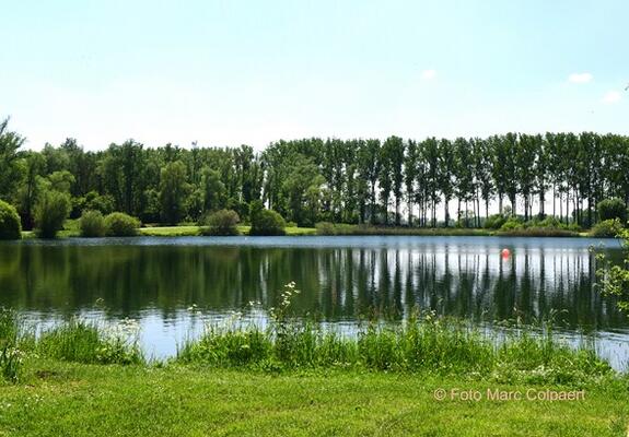 De Gavers