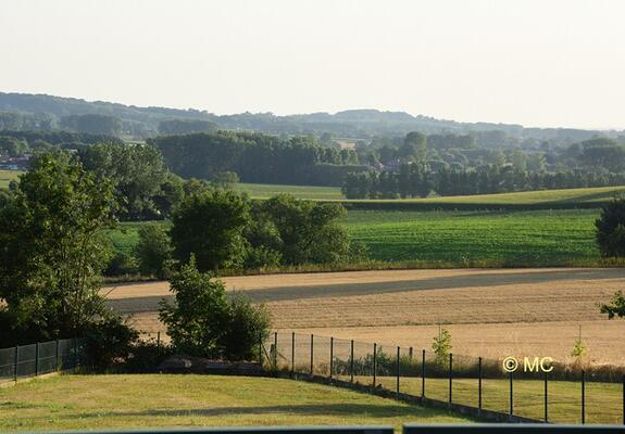 Natuur