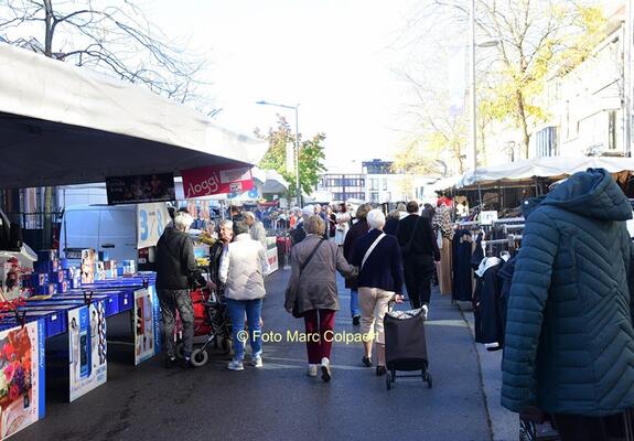 ninove