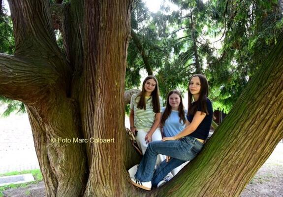 Laura Ruth en Nina ontdekten de tuin van het Baljuwhuis.- Foto Marc Colpaert
