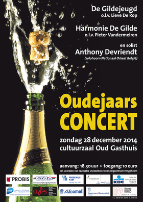 Editiepajot_ingezonden_harmonie_de_gilde_aff_oudejaarsconcert_2014