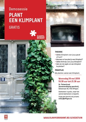 Affligem_-_demosessie_plant___klimplanten